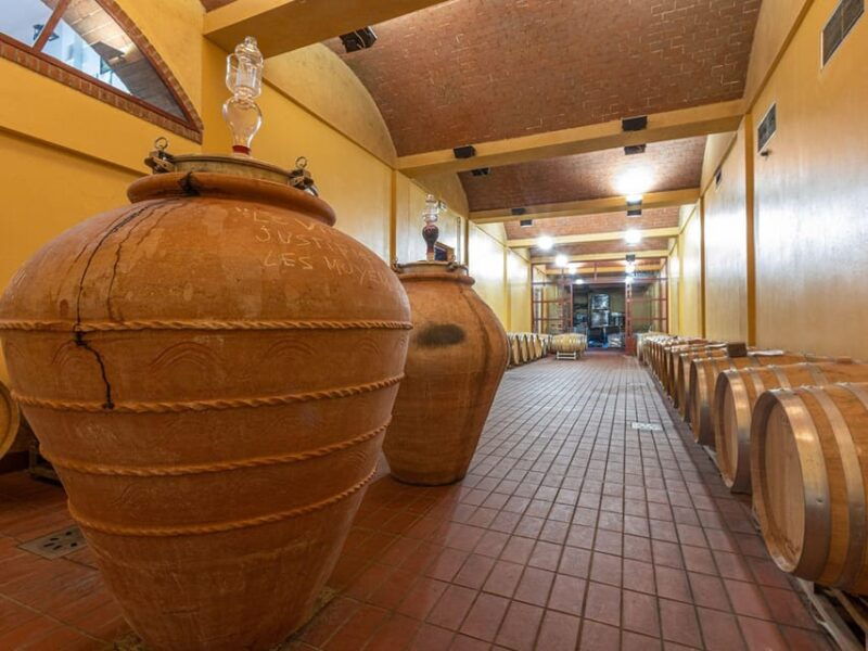 winery-tour-wine-tasting-with-food-near-livorno-pisa