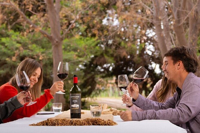 wines-vineyards-and-picnic-the-charm-of-the-mendoza-wineries