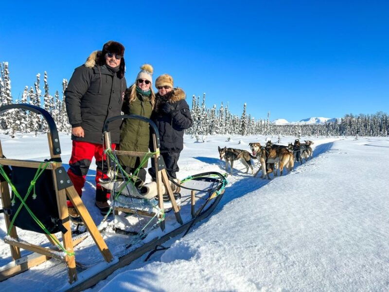 winter-dog-sled-tour-day-or-night-mush