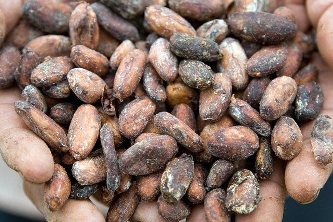 xunantunich-mayan-ruins-cacao-farm-and-traditional-chocolate-making-tour