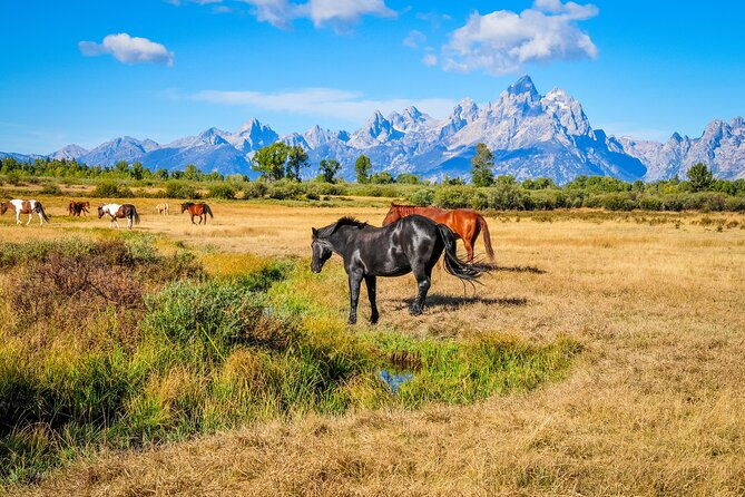 yellowstone-grand-teton-grand-circle-adventure-7-parks-9-days