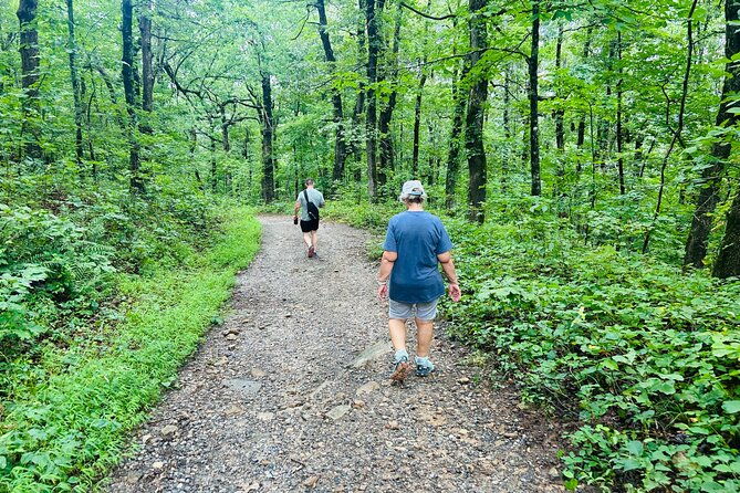 yonah-mountain-hike-private-tour-in-georgia