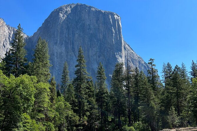 yosemite-full-day-private-tour