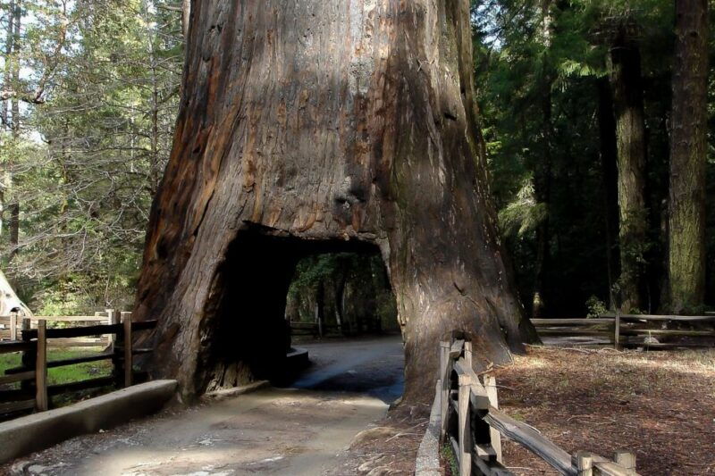 yosemite-private-full-day-trip-from-san-francisco