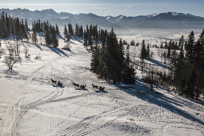 zakopane-and-horse-sleigh-ride-in-the-countryside-private-tour-from-krakow