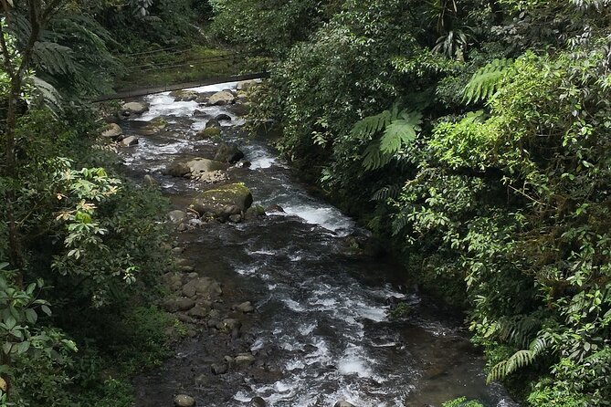 zip-line-canopy-half-day-adventure-tour-near-san-jose-costa-rica-in-san-ramon