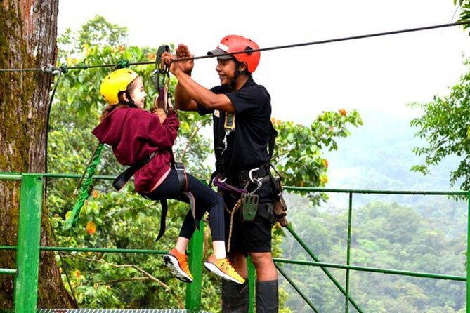zipline-and-rappel