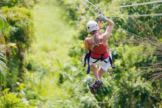 zipline-canopy-crocodile-safari-cruise-private-tour