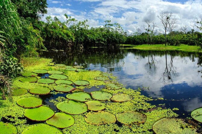 4-day-amazon-jungle-tour-from-iquitos