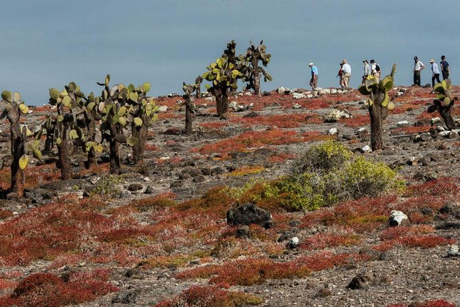 4-day-galapagos-tour-santa-cruz-2-uninhabited-islands