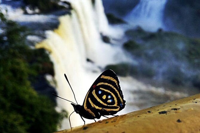 4-day-private-guided-tour-of-iguazu-falls