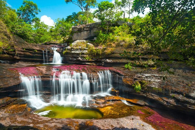 4-day-trip-to-cano-cristales-the-river-of-many-colors-and-the-jungle