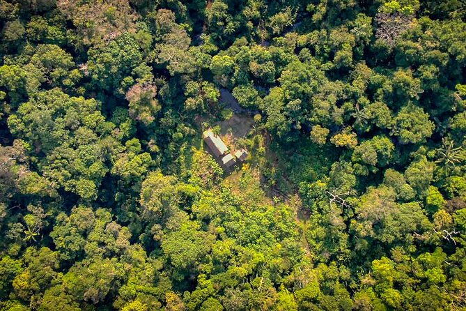 4-days-deep-jungle-experience
