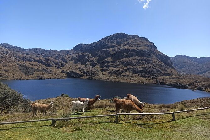 4-days-guayaquil-to-banos-with-cajas-park-cuenca-and-chimborazo