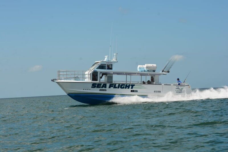 4-hour-deep-sea-fishing