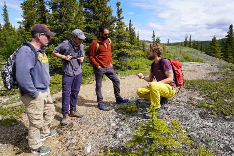 4-hour-off-trail-wilderness-wonders-tour-in-denali