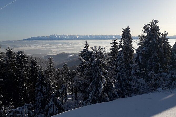 1-day-private-snowshoe-hike-in-the-gorce-mountains-near-krakow