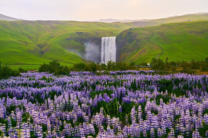 10-hours-private-south-coast-guided-tour