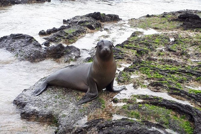 11-days-galapagos-full-experiences-santa-cruz-isabela-san-cristobal