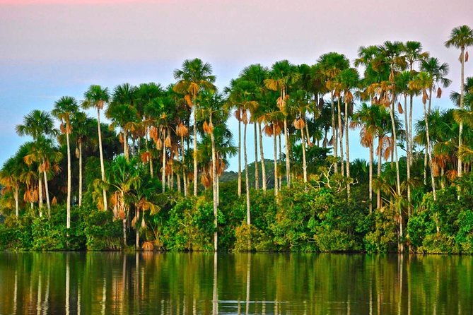 2-days-1-night-peruvian-tambopata-jungle