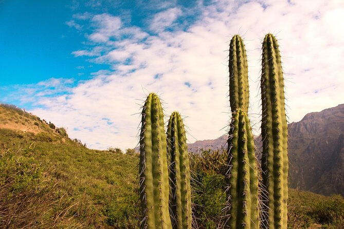 2-days-colca-canyon-tour