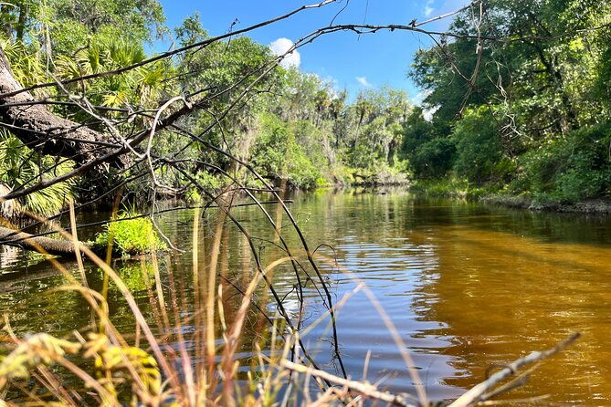 2-hour-guided-stand-up-paddle-board-tour-along-upper-manatee-river