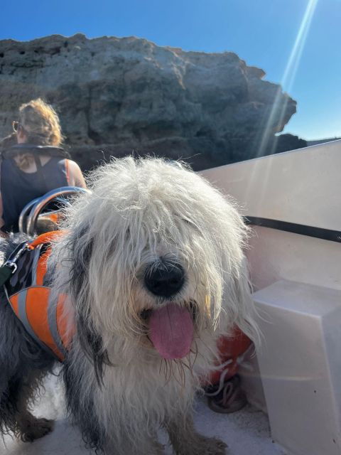 2-hours-private-benagil-caves-and-beaches-boat-tour