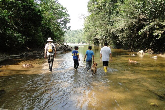 3-days-jungle-tour-expedition-amazonia-in-ecuador-rainforest