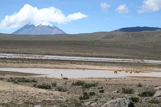 3days-colca-canyon-trek-3d-2n