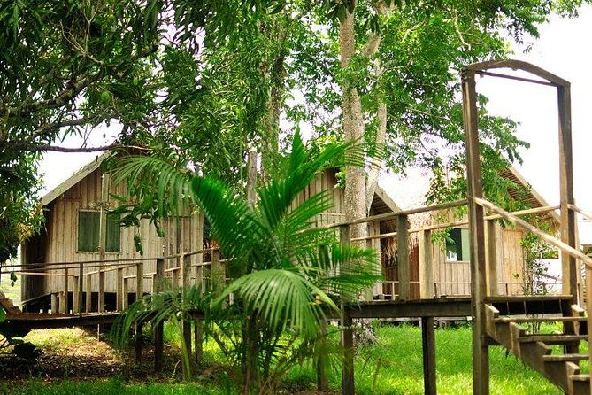 4-day-manaus-amazon-jungle-adventure