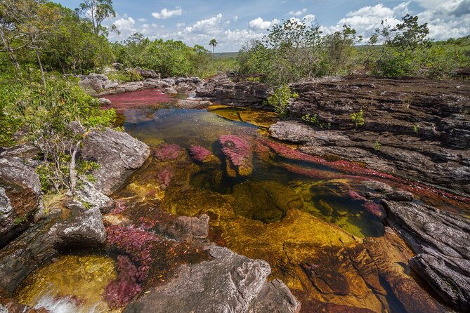 4-day-trip-to-cano-cristales-the-river-of-many-colors-and-the-jungle