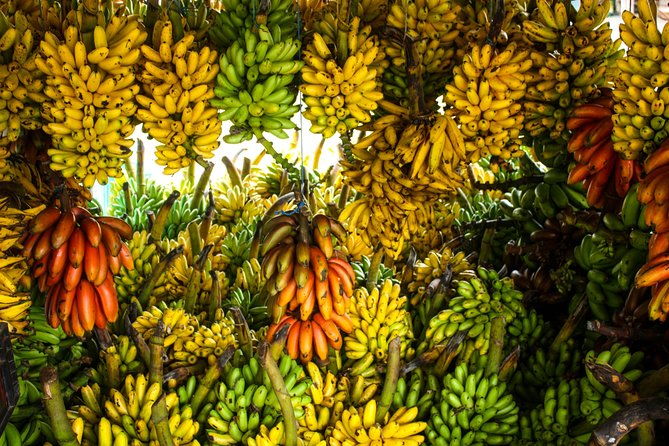 4-days-guayaquil-to-banos-with-cajas-park-cuenca-and-chimborazo
