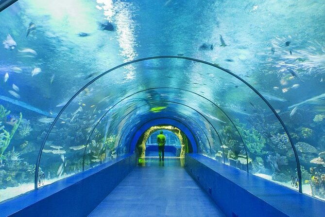 4-hour-guided-antalya-aquarium-tour