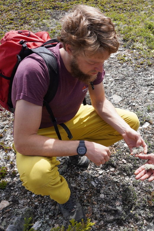 4-hour-off-trail-wilderness-wonders-tour-in-denali