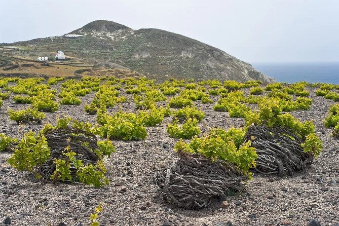 4-hours-private-custom-tour-in-santorini