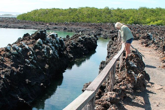 5-days-galapagos-tour-santa-cruz-and-isabela-islands
