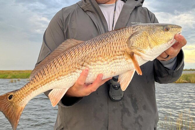 5-hour-family-friendly-fishing-charter-around-sarasota-bay