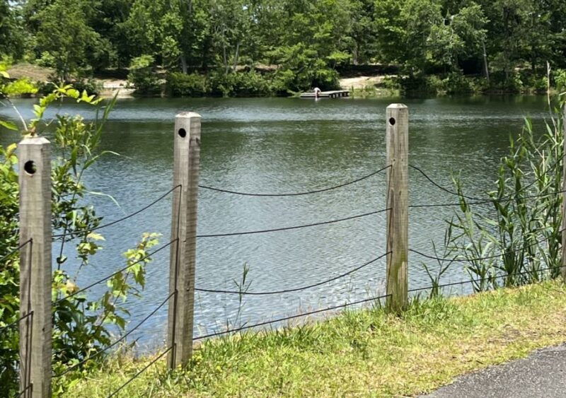 5-hour-wilmington-river-to-sea-e-bike-tour