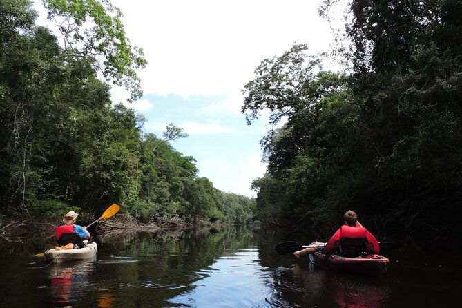 6-day-guided-kayak-expedition-in-the-amazon
