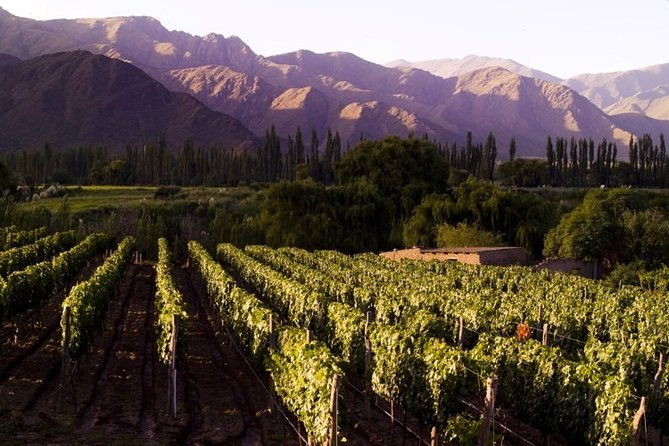 6-day-tour-in-salta-and-jujuy-best-of-the-northwest