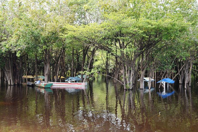 6-days-amazon-jungle-adventure-tour
