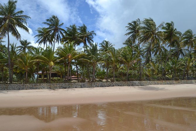 7-days-yoga-meditation-retreat-bahia-brazil