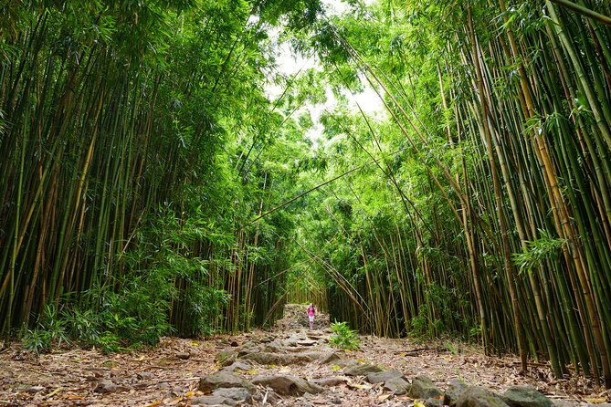 8-hour-private-jungle-waterfall-tour-from-maui