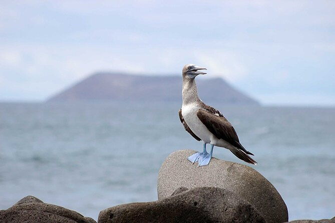 9-days-galapagos-island-hopping