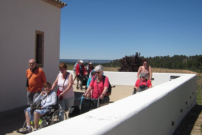 accessible-valencia-private-accessible-wine-tour-with-lunch