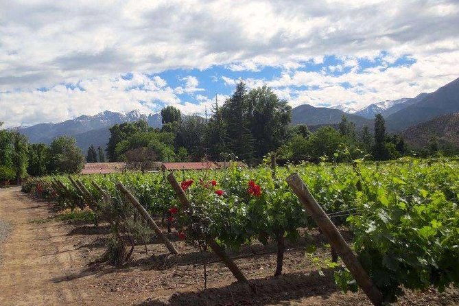 aconcagua-private-wine-lovers-premium-tour