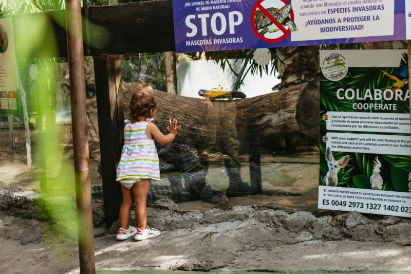 aguimes-crocodile-park-zoo-entry-ticket