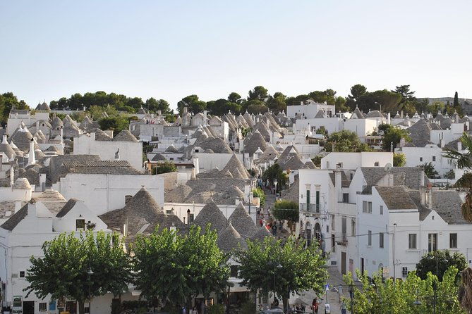 alberobello-half-day-tour-with-extravergine-olive-oil-and-liquores-tasting