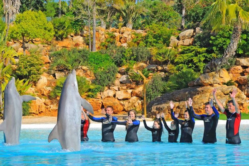 algarve-zoomarine-ticket-and-dolphin-emotions-experience