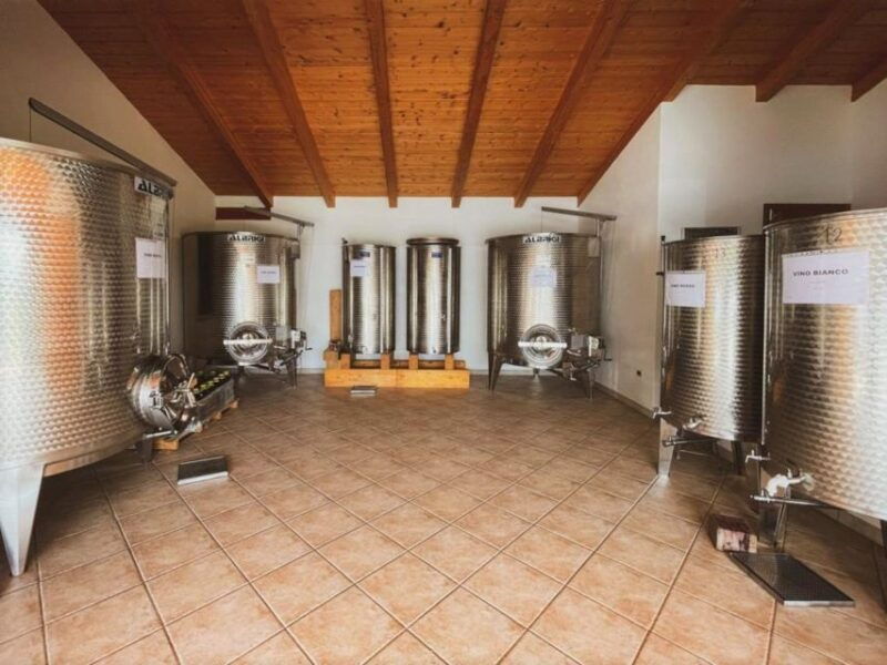 alghero-dinner-in-the-vineyard-with-wine